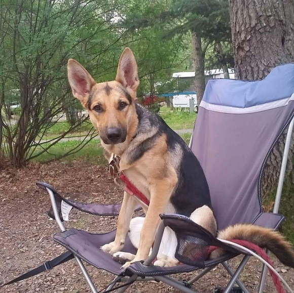 Meet your Posher, Olesia - Picture 4 of 5